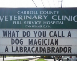 These Hilariously Clever Veterinarian Signs Will Have You In Stitches