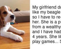 Girlfriend Tells Boyfriend ‘Either The Dog Goes Or I Go’ – Man’s Reply Wins The Internet
