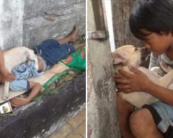 Lonely Homeless Boy Rescues A Street Pup, Doesn’t Know Pup Will Return The Favor In Touching Way