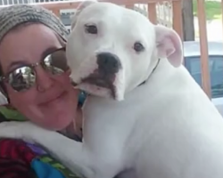 Woman Buys Dog And Takes Him Home To Make Devastating Discovery, Then Immediately Calls Cops