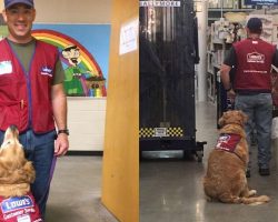 Veteran and his service dog can’t find a job. Then Lowe’s hands them 2 red vests