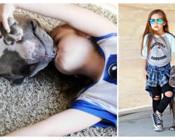 Little Girl Sings To Her Pit Bull (And Melts Even The Coldest Hearts)