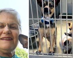 Woman Loses Husband, Goes To Shelter And Asks For Least Adoptable Dog – Here’s Who They Gave Her