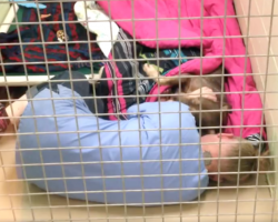 Staff Member Goes To Check On A Dog Who Just Had Surgery And Sees A Precious Moment