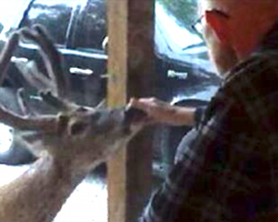 Woman’s Sick Father’s About To Die, But That’s When A Deer Shows Up