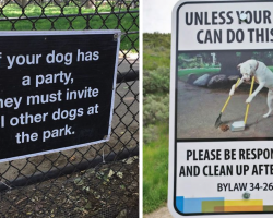 14 Hilariously Unorthodox Dog Signs To Spice It Up A Bit