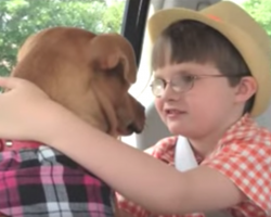 A Dying Dog Meets A Boy With Autism, And Both Of Their Lives Are Changed Forever