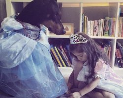 Adorable Girl And Doberman Duo Do Everything Together