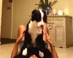 Two Dogs Perform Amazing Balancing Act