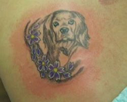 The 14 Coolest Cocker Spaniel Tattoo Designs In The World
