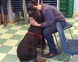 Woman Who Lost Her Dog 2 Years Ago After Her Divorce Has Emotional Surprise Reunion