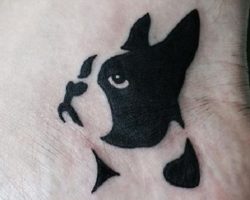 The 10 Coolest Boston Terrier Tattoo Designs In The World