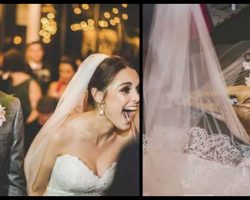 Stray Dog Crashes Wedding But It’s The Couple’s Reaction That Made Their Day Perfect