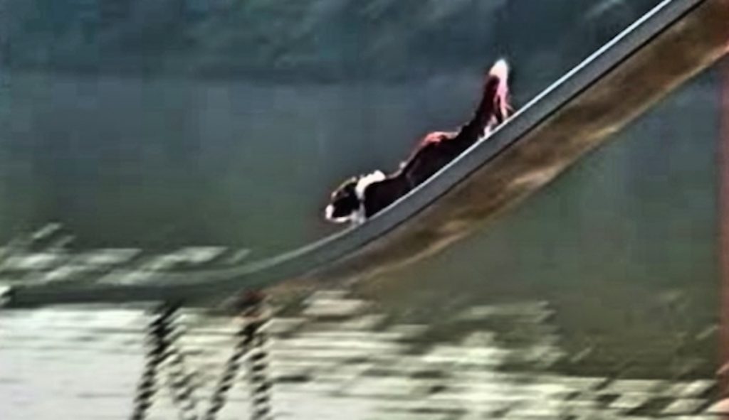 slip and slide into lake