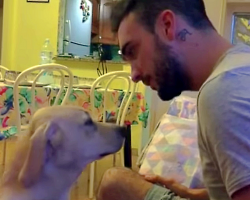 Guilty Dog Begs For Forgiveness, Owner Can’t Help But Melt