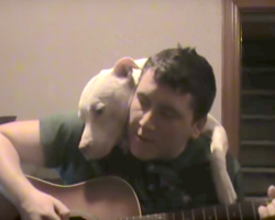 Man Plays Guitar For His Dog And Captures The True Nature Of Pit Bulls
