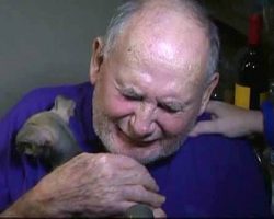 Elderly Couple Overcome With Emotion When They Receive New Puppy After Tragedy