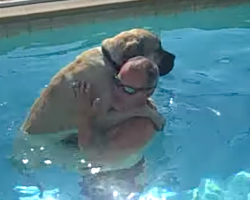 Big Dog’s Afraid Of The Water, But Daddy Lends A Helping Hand For Sampson