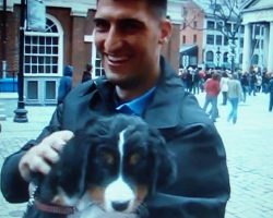 Soldier Surprised By His Wife With The Puppy He Always Wanted