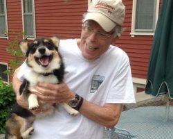 Stephen King Becomes Doting Dog Dad To Corgi AKA “Thing Of Evil”