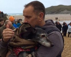 Hundreds Of Well Wishers Join Beloved Dog For His Last Walk On His Favorite Beach