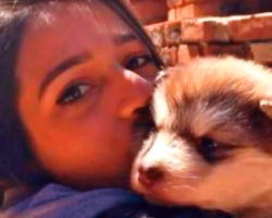 Woman Adopts ‘Tiny’ Puppy – But Realizes Her Hilarious Mistake A Year Later