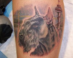 The 8 Coolest Schnauzer Tattoo Designs In The World