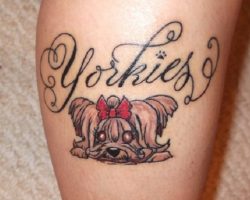 The 9 Coolest Yorkshire Terrier Tattoo Designs In The World