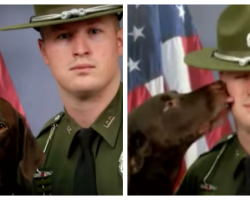 Caught on Camera: Police Dog Can’t Restrain His Love for Cop Companion