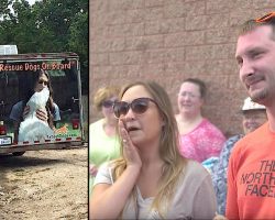 Couple adopts dog they’ve never seen. When trailer door opens, they can’t believe their eyes