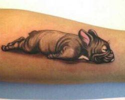 The 21 Coolest French Bulldog Tattoo Designs In The World