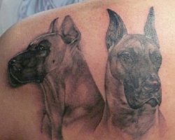 The 15 Coolest Great Dane Tattoo Designs In The World