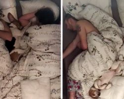 Hilarious Time Lapse Video Shows Dog’s Antics When Sleeping with Family