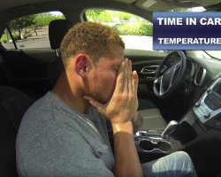NFL Star Sits In A Hot Car To Show What Dogs Endure In High Temperatures