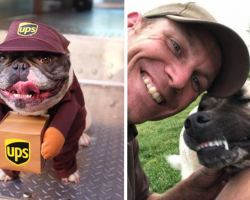 18 Of The Best Dog Photos UPS Drivers Have Taken On Their Routes