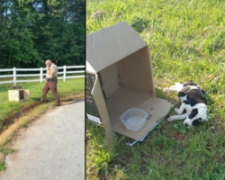 Cop Approaches Box On Side Of The Road And Sees 10-Week-Old Puppy Lying Beside It