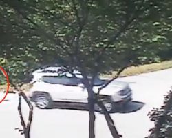 Woman Caught on Homeowner’s Security Camera Dumping Dog is Arrested