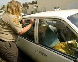 New law being passed makes it a felony to leave a pet in a hot car. Do you support this idea?