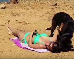 Woman Tries To Sunbathe But Her Dog Has Other Plans