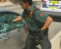 Police Officer Shatters Window To Free Pit Bull From Hot Car