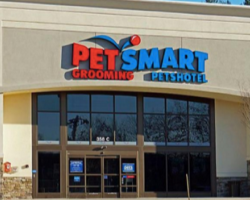 Four Dogs Have Died After Being Groomed At PetSmart – Here’s What Pet Owners Need To Know