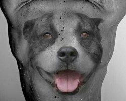 The 20 Coolest Pit Bull Tattoo Designs In The World