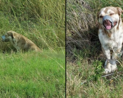 Two Men Were Heading To Work When They Saw An Unusual Figure On The Side Of The Road