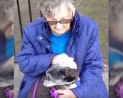 92-year-old woman forced to say Goodbye to her best friend after senior care wouldn’t allow dogs