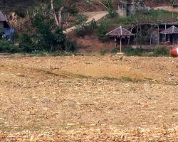 Man Stands in Empty Field And Loudly Yells. Moments Later, Internet Gasps At ‘Herd’ Running Up To Him