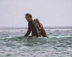 Surfer Hit The Waves And Came Out Of The Ocean With An Unexpected Friend, Incredible