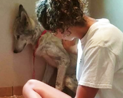 There Was Something Strange About This Stray ‘Dog’… Then Rescuers Realized The Shocking Truth