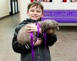 Little Boy’s Unexpected Pick At Dog Shelter Touches Staffers’ Hearts
