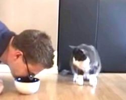 Dad Pretends To Eat From Cat’s Bowl, Cat’s Snappy Comeback Has Internet Rolling