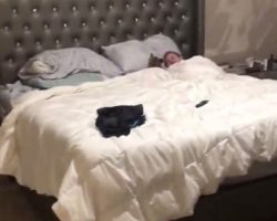 Dad Hears Strange Noises In The Bedroom, Walks In On Cutest Scene Imaginable